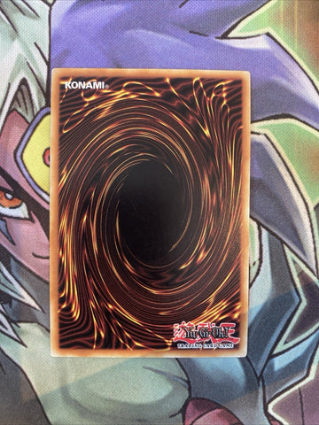 LCJW-EN024 The Legendary Fisherman Common 1st Edition NM Yugioh Card (back)