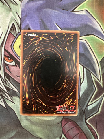 MFC-019 D.D. Crazy Beast Rare 1st Edition NM Yugioh Card (back)