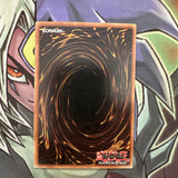 MFC-019 D.D. Crazy Beast Rare 1st Edition NM Yugioh Card