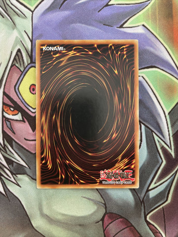 LTGY-EN076 Madolche Nights Super Rare 1st Edition NM Yugioh Card (back)