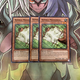 LCYW-EN235 x3 Nimble Momonga Common Excellent Condition Yugioh