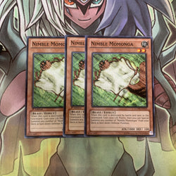 Smirking Gnome