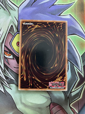 YSYR-EN001 Dark Magician Ultimate Rare UNL Edition NM Yugioh Card (back)