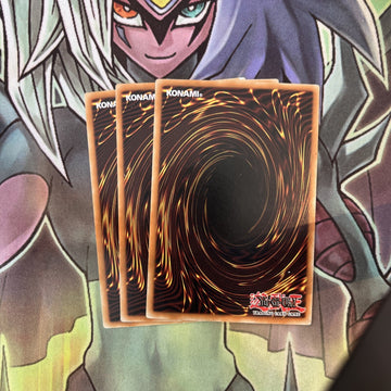 DB2-EN185 x3 Spring of Rebirth Common Excellent Condition Yugioh (back)