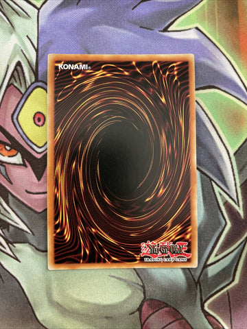 BLLR-IT046 Witch Of The Black Forest Ultra ITALIAN 1st Edition NM Yugioh Card (back)