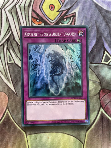 OP20-EN012 Grave Of The Super Ancient Organism Super Rare UNL Ed NM Yugioh