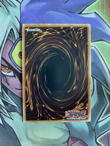 CHIM-EN098 Striker Dragon Ultra Rare 1st Edition NM Yugioh Card (back)
