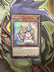 Smirking Gnome