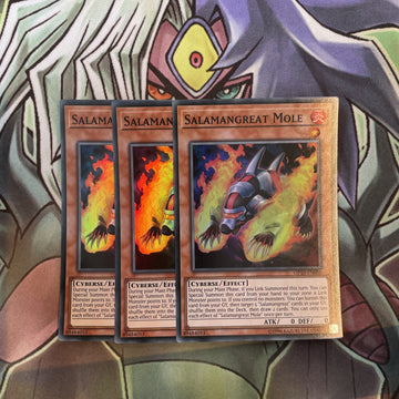 OP10-EN006 Salamangreat Mole Super Rare x3 Excellent Condition Yugioh