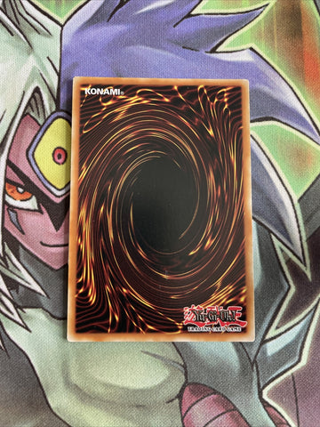 CHIM-EN004 Marincess Blue Tang Secret Rare UNL Edition NM Yugioh Card (back)