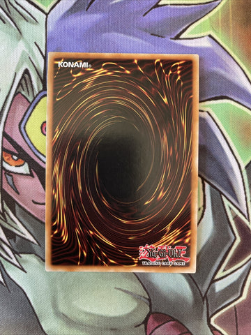 LCYW-EN193 Gravekeeper's Recruiter Ultra Rare UNL Edition NM Yugioh Card (back)