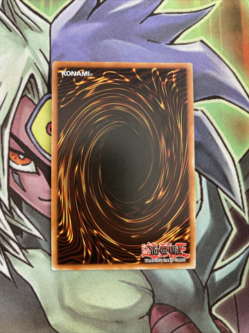 TSHD-EN046 Cards For Black Feathers FRENCH 1st Edition NM Yugioh Card (back)