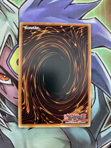 COTD-EN052 Missus Radiant Super Rare 1st Edition NM Yugioh Card (back)