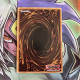 LCJW-EN260 Necrovalley Common 1st Edition NM Yugioh Card