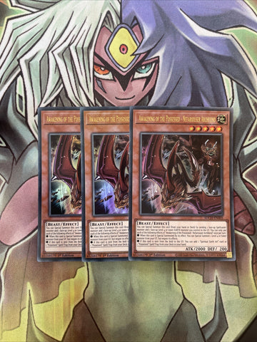 SDCH-EN005 x3 Awakening of the Possessed - Nefariouser Archfiend Ultra Yugiohh