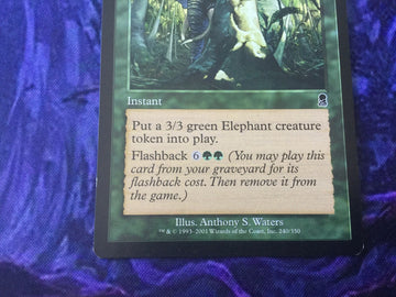 Elephant Ambush - Odyssey Excellent Magic MTG (back)