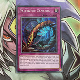 OP06-EN006 Paleozoic Canadia Super Rare UNL Edition NM Yugioh Card