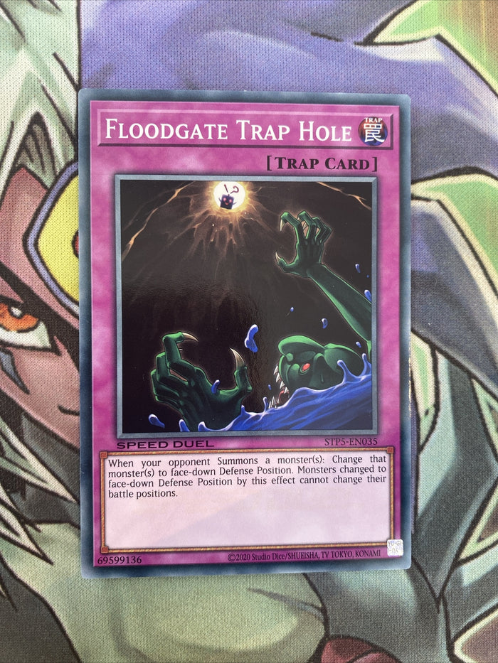 STP5-EN035 Floodgate Trap Hole Common Unlimited Edition NM Yugioh Card