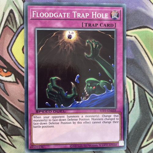 STP5-EN035 Floodgate Trap Hole Common Unlimited Edition NM Yugioh Card