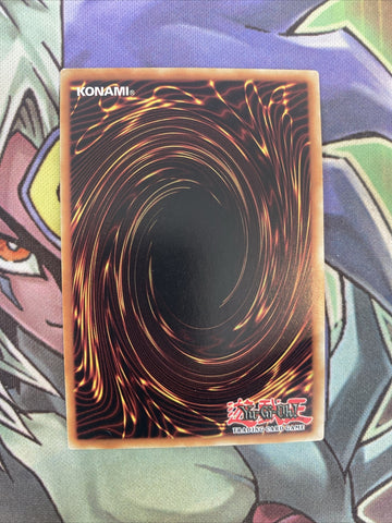 STP5-EN035 Floodgate Trap Hole Common Unlimited Edition NM Yugioh Card (back)