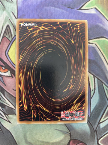STP5-EN011 Exploder Dragon Super Rare Unlimited Edition NM Yugioh Card (back)