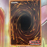 Ioc-033 Wild Nature's Release NM yugioh