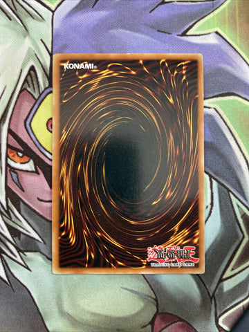 CDIP-EN007 Allure Queen Lv5 Ultimate Rare 1st Edition NM Yugioh Card (back)