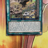 DAMA-EN060 Sacred Scrolls of the Gizmek Legend Secret Rare | YuGiOh Trading Card