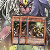 DR3-EN209 x3 Wynn the Wind Charmer Common Excellent Condition Yugioh