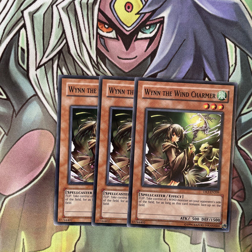 DR3-EN209 x3 Wynn the Wind Charmer Common Excellent Condition Yugioh