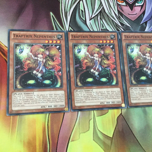 JOTL-EN034 x3 TRAPTRIX NEPENTHES new Yugioh: