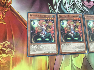 JOTL-EN034 x3 TRAPTRIX NEPENTHES new Yugioh: (back)