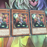 JOTL-EN034 x3 TRAPTRIX NEPENTHES new Yugioh:
