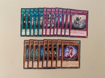 Core Graydle 22 Cards YuGiOh