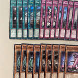 Core Graydle 22 Cards YuGiOh