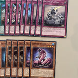 Core Graydle 22 Cards YuGiOh