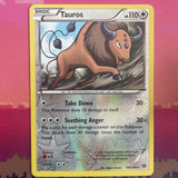 Pokemon Card Tauros XY Base Set Reverse Holo Rare 100/146 Near Mint