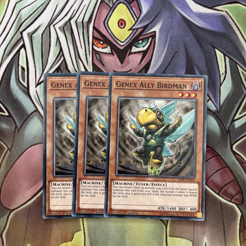 SDPL-EN016 x3 Genex Ally Birdman Common Excellent Condition Yugioh