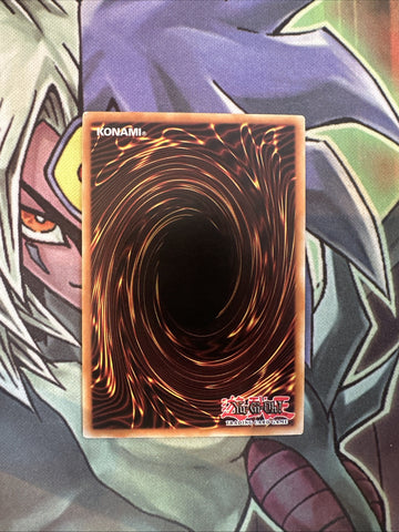 SP17-EN037 Frightfur Leo Starfoil Rare 1st Edition NM Yugioh Card (back)