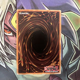 SP17-EN037 Frightfur Leo Starfoil Rare 1st Edition NM Yugioh Card