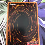DL16-EN007 Yugioh Kasha PURPLE RARE