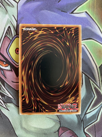 CHIM-EN099 Draco Master Of The Tenyi Ultra Rare 1st Edition NM Yugioh Card (back)