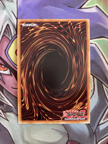 NKRT-EN028 Foolish Burial Platinum Rare 1st Edition NM Yugioh Card (back)