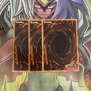LCGX-EN011 x3 Wroughtweiler Common Excellent Condition Yugioh (back)