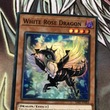 SAST-ENSE4 White Rose Dragon Super Rare Limited Edition Mint YuGiOh Card