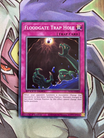 SGX1-ENj23 Floodgate Trap Hole Common 1st Edition NM Yugioh Card