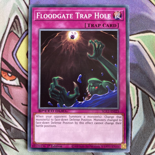 SGX1-EN123 Floodgate Trap Hole Common 1st Edition NM Yugioh Card