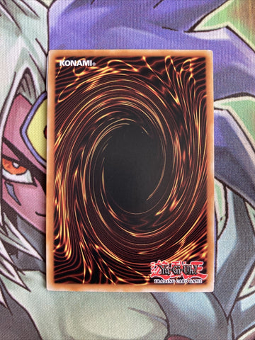 SGX1-ENj23 Floodgate Trap Hole Common 1st Edition NM Yugioh Card (back)