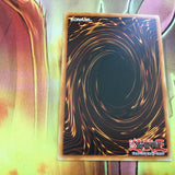 SAST-EN034 SALAMANGREAT VIOLET CHIMERA Rare 1st Edition YuGiOh Card