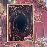 BLLR-EN075 YUGIOH SPELLBOOK OF SECRETS ULTRA RARE 1ST EDITION ITALIAN